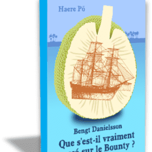 Que s'est-il vraiment passé sur le Bounty ?